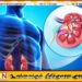நாள்தோறும் ஐந்து உயிர்களை காவுகொள்ளும் சிறுநீரக நோய்; தேசிய பிரிவு எச்சரிக்கை
