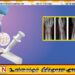 சீனாவில் உடைந்த எலும்புகளை 2–3 நிமிடத்தில் ஒட்டும் புதிய ‘போன் க்ளூ’ கண்டுபிடிப்பு