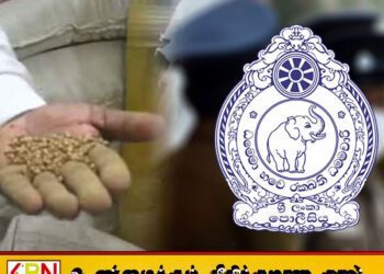 புறக்கோட்டையில் மனித பாவனைக்கு உதவாத மஞ்சள் மற்றும் கொத்தமல்லி தொகை கைப்பற்றல்!