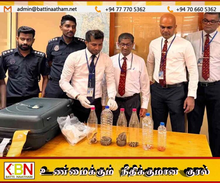 நாட்டிற்குள் சட்டவிரோதமாக பாம்புகள் கொண்டுவந்த பெண் கைது