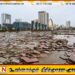 வியட்நாமை புரட்டிப்போட்ட புயல்; பலர் மாயம் – இலட்சக்கணக்கான மக்கள் வெளியேற்றம்