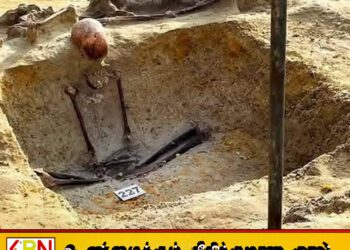 செம்மணி மனிதப் புதைகுழியில் 240 எலும்புத் தொகுதிகள் கண்டுபிடிப்பு