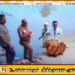 சம்மாந்துறையில் 2 வயது சிறுவன் நீரில் மூழ்கி பலி
