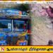 பேருந்து விபத்திற்கான காரணம்? உயிர் தப்பியவரின் வௌிப்படுத்தல்