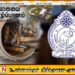யாழ் சர்வதேச கிரிக்கெட் மைதானத்தில் துப்பாக்கி ரவைகள் மீட்பு