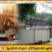 காற்று மாசுபாடு; யாழ் மாநகர சபைக்கு நீதிமன்றத்தின் உத்தரவு