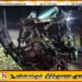 தெற்கு அதிவேக வீதி விபத்தில் பெண் ஒருவர் உயிரிழப்பு – ஆறு பேர் காயம்