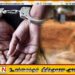 எத்திமலை கெமுனுபுர பகுதியில் புதையல் தோண்டிய பெண் கைது