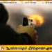 தேங்காய் திருடியவர் மீது துப்பாக்கி பிரயோகம்