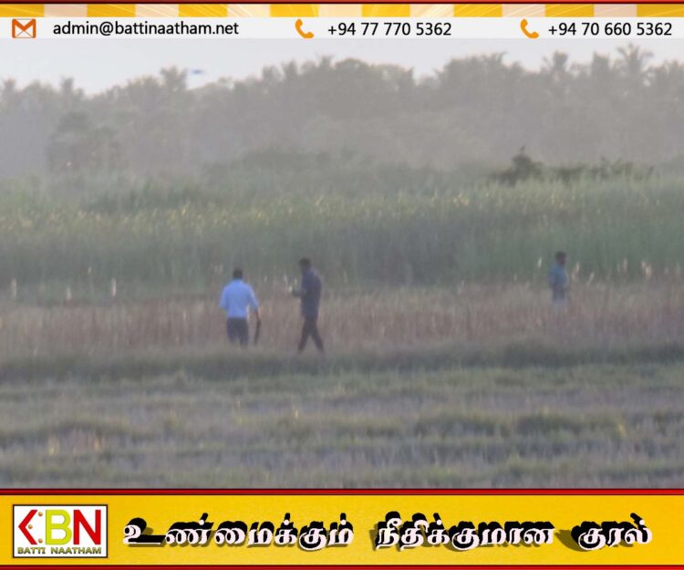 தேற்றாத்தீவு பகுதியில் யானை கூட்டங்களை விரட்டும் நடவடிக்கைகள் முன்னெடுப்பு