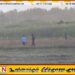 தேற்றாத்தீவு பகுதியில் யானை கூட்டங்களை விரட்டும் நடவடிக்கைகள் முன்னெடுப்பு
