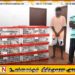 மன்னாரில் 91 சட்டவிரோத பறவைகள் கடத்தல்; 2 பேர் கடற்படையால் கைது