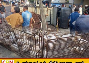 ஏறாவூரில் கோழி ஏற்றிச்சென்ற வாகனம் விபத்து