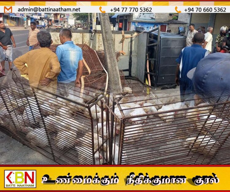 ஏறாவூரில் கோழி ஏற்றிச்சென்ற வாகனம் விபத்து