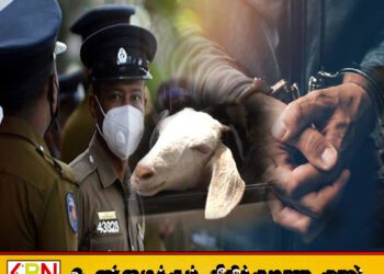 மட்டக்களப்பில் ஆடு திருட்டு; வாடகை ஆட்டோ உரிமையாளர் கைது