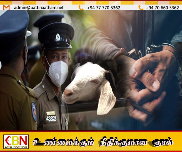 மட்டக்களப்பில் ஆடு திருட்டு; வாடகை ஆட்டோ உரிமையாளர் கைது