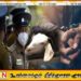 மட்டக்களப்பில் ஆடு திருட்டு; வாடகை ஆட்டோ உரிமையாளர் கைது
