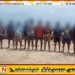 இந்திய மீனவர்கள் 12 பேருக்கும் விளக்கமறியல்