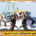 நெடுந்தீவு அருகே அத்துமீறி மீன்பிடித்த குற்றச்சாட்டில் 12 இந்திய மீனவர்கள் கைது
