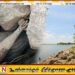 பொலன்னறுவை பராக்கிரம சமுத்திர பகுதியில் மோட்டார் குண்டு மீட்பு