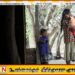 பெற்றோர் பாதுகாவலர் பாதுகாப்புப் பொறிமுறை நிறுவ முடிவு