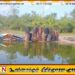 தாந்தாமலை பகுதியில் பெரிய அளவில் கசிப்பு பரல்கள் பறிமுதல்