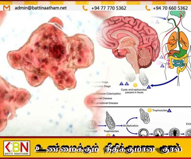 இந்தியாவில் ‘மூளையை உண்ணும்’ அமீபா தோற்று அதிகரிப்பு