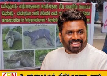 மேய்ச்சல் தரை சார்ந்த பிரச்சனைகளை தீர்த்துத் தருமாறு ஜனாதிபதியிடம் பண்ணையாளர்கள் கோரிக்கை