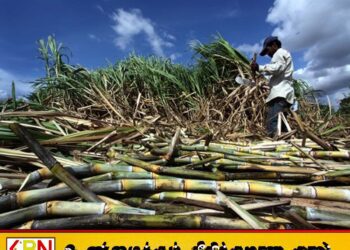 செவனகல கரும்புத் தோட்ட விவசாயிகளுக்கு இழப்பீடு வழங்க அனுமதி