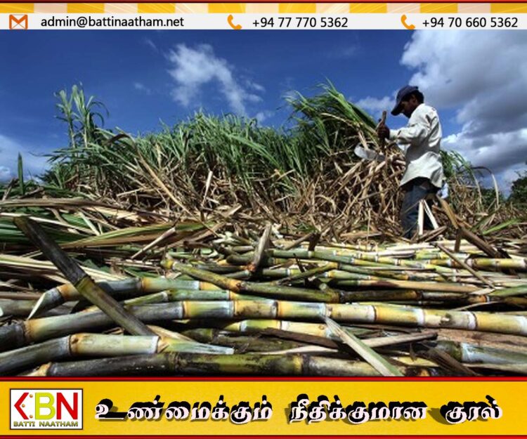 செவனகல கரும்புத் தோட்ட விவசாயிகளுக்கு இழப்பீடு வழங்க அனுமதி