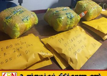 6 கிலோ கஞ்சாவுடன் வவுனியாவில் ஒருவர் கைது