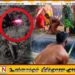 கிண்ணையடி மாரியம்மன் ஆலயத்தில் அதிசயம்; பார்வையிட குவிந்த மக்கள்