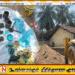 ஏறாவூரில் பழைய பாடசாலை அகமட் பரித் வித்தியாலய பகுதியில் ஆயுதங்களை தேடிய அகழ்வில் 4 கைக்குண்டுகள் மீட்பு-காணொளி