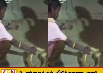 குடிபோதையில் கண்ணாடி விரியன் பாம்பை பிடித்து சாகசம் செய்தவர் பாம்பு தீண்டி உயிரிழப்பு