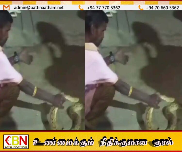 குடிபோதையில் கண்ணாடி விரியன் பாம்பை பிடித்து சாகசம் செய்தவர் பாம்பு தீண்டி உயிரிழப்பு