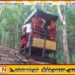 கேபிள் கார் விபத்து; சிகிச்சை பெற்றுவந்த பிக்கு உயிரிழப்பு