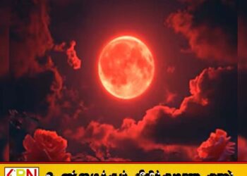 இன்று சந்திர கிரகணம்; முடிந்ததும் இந்த விஷயங்களை செய்ய மறந்துடாதீங்க
