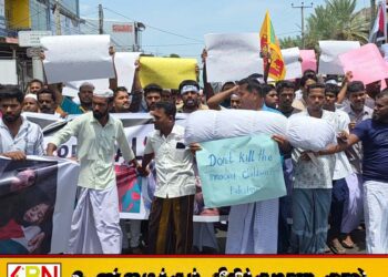 மூதூரில் பலஸ்தீனுக்கு ஆதரவாக அமைதிப் பேரணி