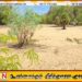 குருக்கள்மடம் மனிதப் புதைகுழி வழக்கில் பாதிக்கப்பட்ட தரப்பினருக்கான நீதிமன்றத்தின் அறிவிப்பு
