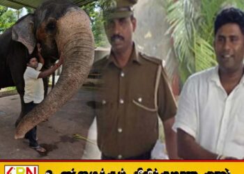 அலி ரொஷானுக்கு 15 ஆண்டுகள் கடூழிய சிறைத்தண்டனை விதிப்பு