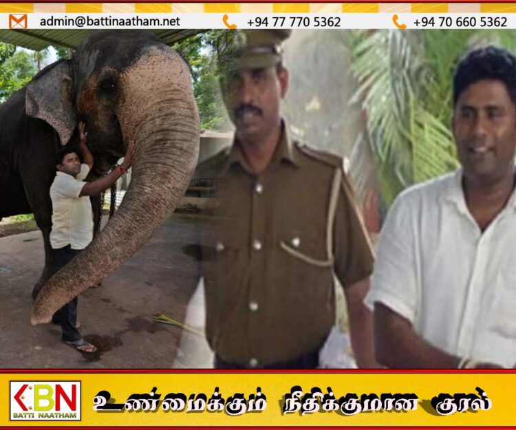 அலி ரொஷானுக்கு 15 ஆண்டுகள் கடூழிய சிறைத்தண்டனை விதிப்பு