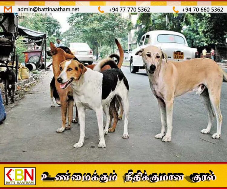 மனிதர்களை கடித்தால் வாழ்நாள் சிறை; நாய்களுக்கு புதிய தண்டனை அறிவித்த உத்தரபிரதேசம்