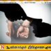 1.2 மில்லியன் ரூபாய் இலஞ்சம் பெற்ற விவசாய அதிகாரி கைது