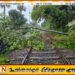 சிறற்றகாலநிலை; கடலோரப் பாதையில் ரயில் சேவைகள் பாதிப்பு