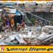 மத்திய பிலிப்பைன்ஸில் 6.9 ரிச்டர் அளவில் நிலநடுக்கம்; உயிரிழந்தோர் எண்ணிக்கை 69 ஆக உயர்வு