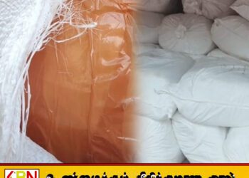 இலங்கைக்கு கடத்தப்படவிருந்த 1200 கிலோ மஞ்சள் சுங்கத்துறையால் பறிமுதல்