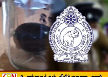 கற்பிட்டியில் புதையல் மூலம் கிடைத்த மாணிக்கக் கல்லை விற்பனை செய்ய முயன்ற மூவர் கைது!