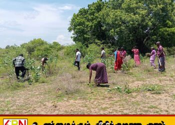 மாவீரர் தினத்தை முன்னிட்டு தரவை மாவீரர் துயிலுமில்லத்தில் முன்னெடுக்கப்பட்ட துப்புரவு பணிகள்