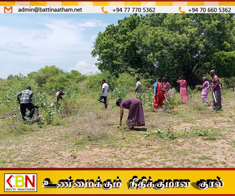 மாவீரர் தினத்தை முன்னிட்டு தரவை மாவீரர் துயிலுமில்லத்தில் முன்னெடுக்கப்பட்ட துப்புரவு பணிகள்