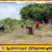 மாவீரர் தினத்தை முன்னிட்டு தரவை மாவீரர் துயிலுமில்லத்தில் முன்னெடுக்கப்பட்ட துப்புரவு பணிகள்